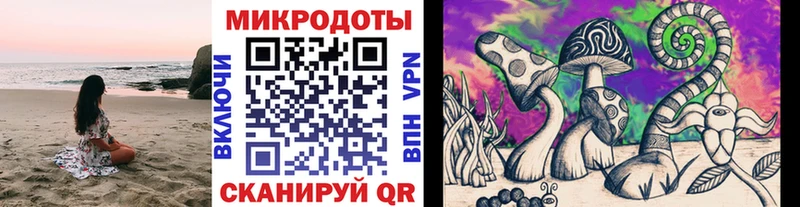 Псилоцибиновые грибы прущие грибы  Купить закладки  Зея 